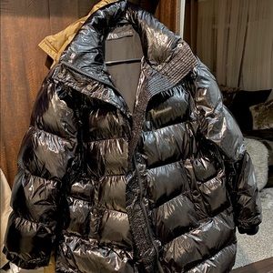 Shiny beautiful coat